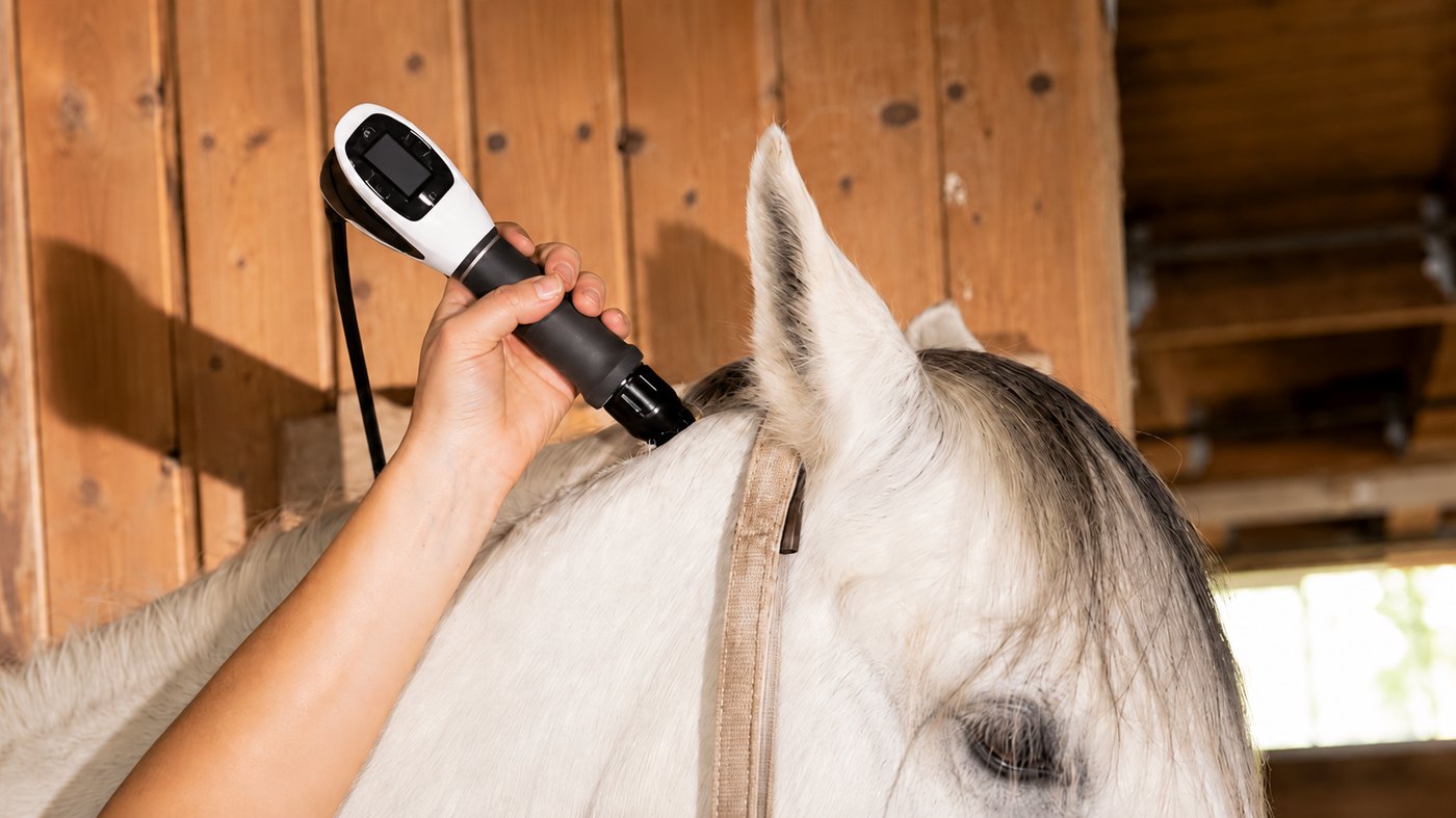 Equine shockwave treatment